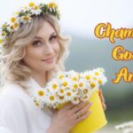 Chamomile good for anxiety