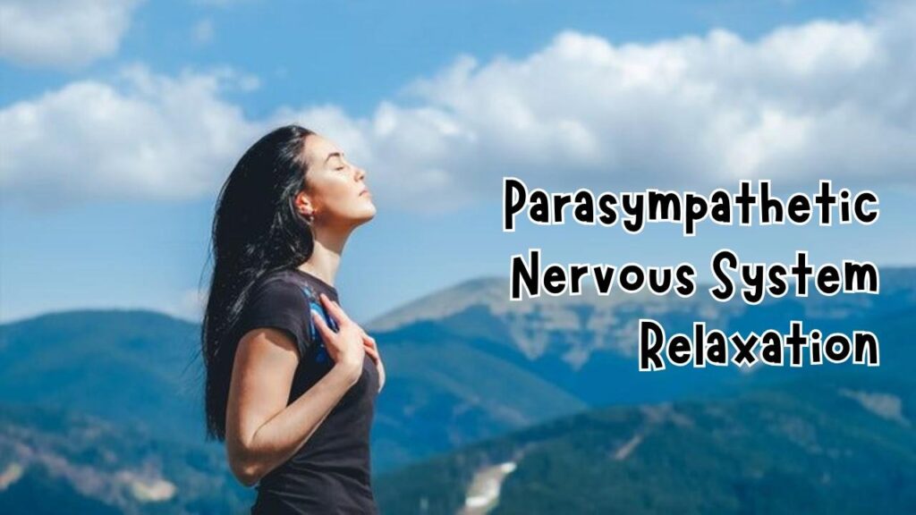 parasympathetic nervous system relaxation