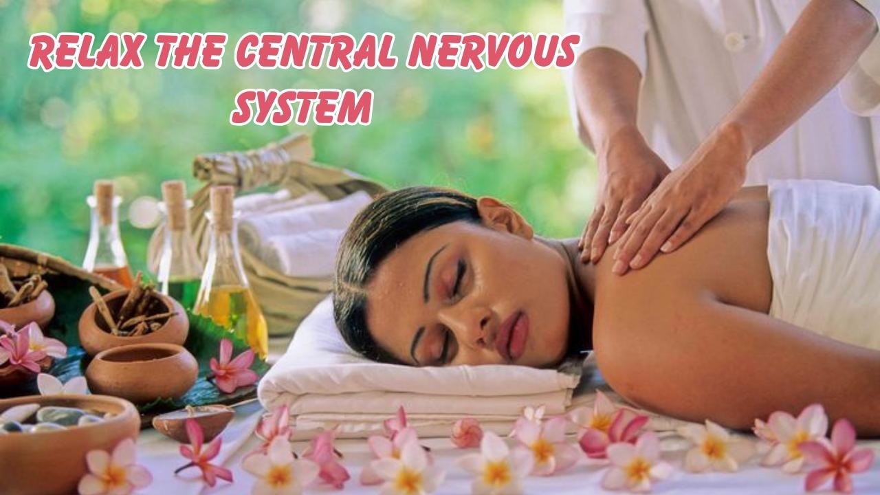 Relax the central nervous system