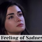 A feeling of sadness