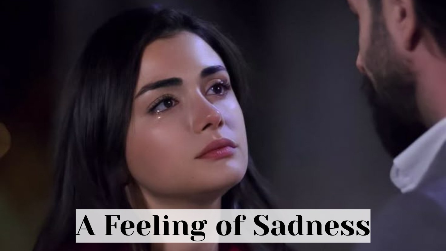 A feeling of sadness