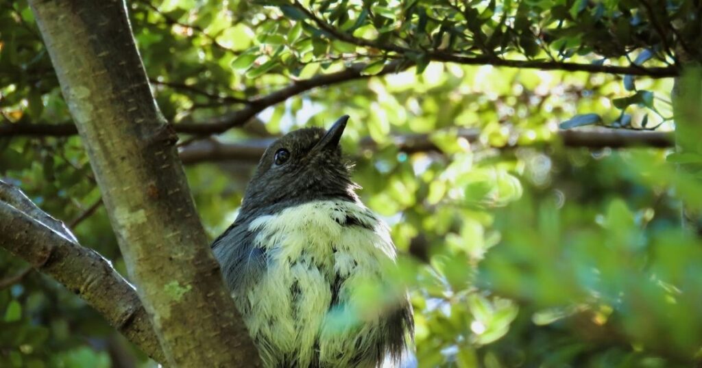 Journey from Broken to Healing